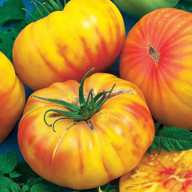 Tomate Ananas