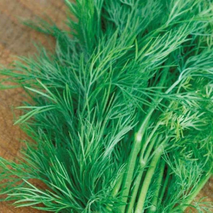 Aneth Bouquet Bio