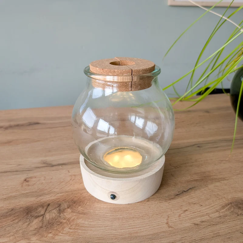 Vase et son support en bois lumineux