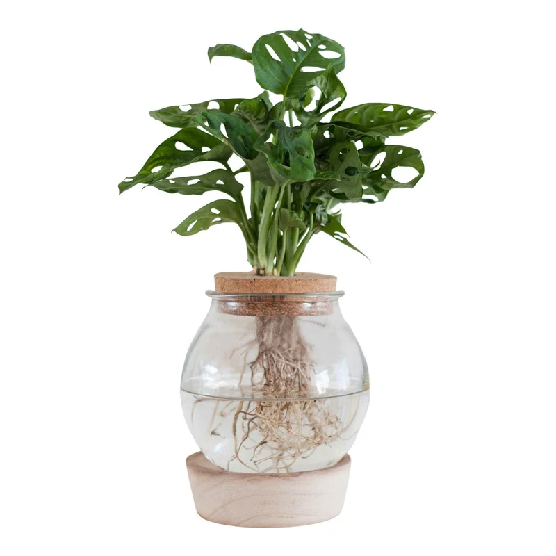 Vase et son support en bois lumineux