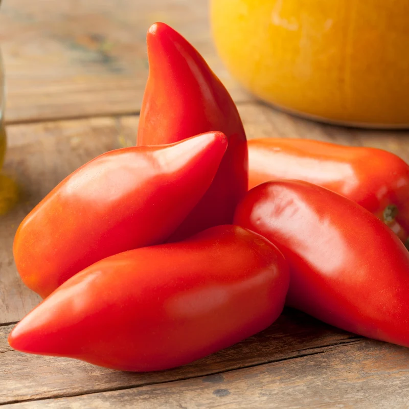 Tomate Cornue des Andes