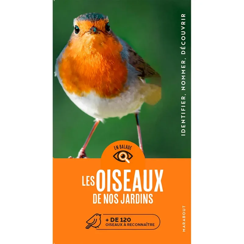 EN BALADE - LES OISEAUX DE NOS JARDINS