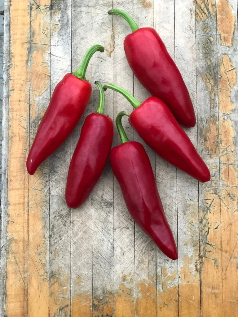 Piment Gorria - Bio