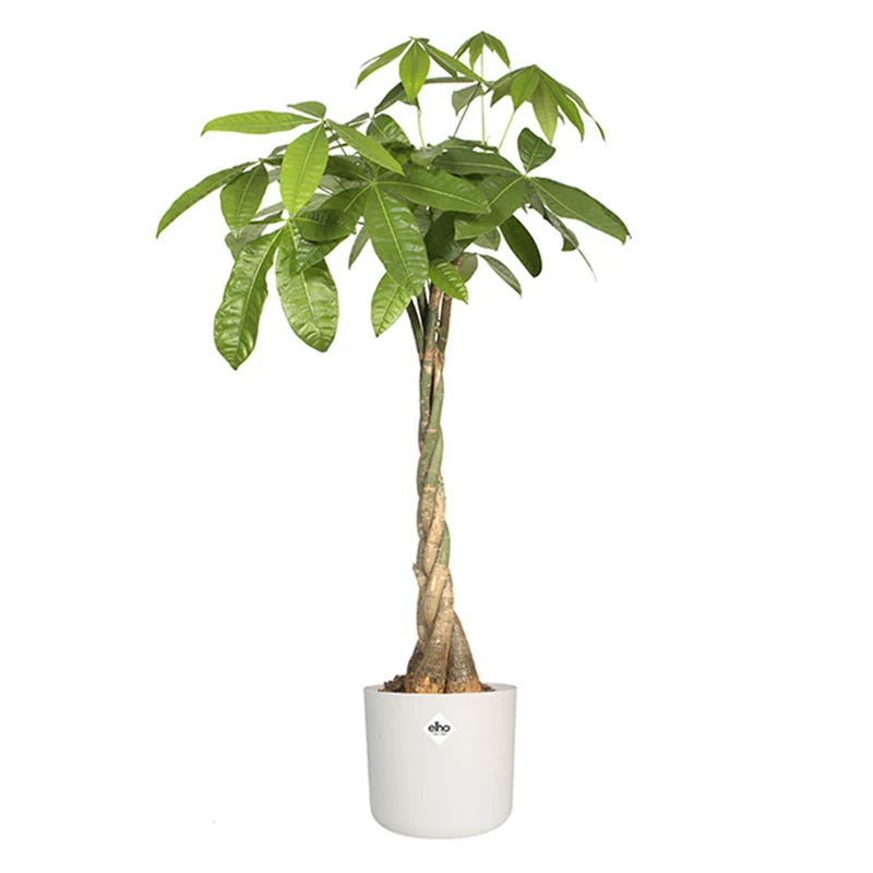 Cache-pot Brussels Round blanc ELHO
