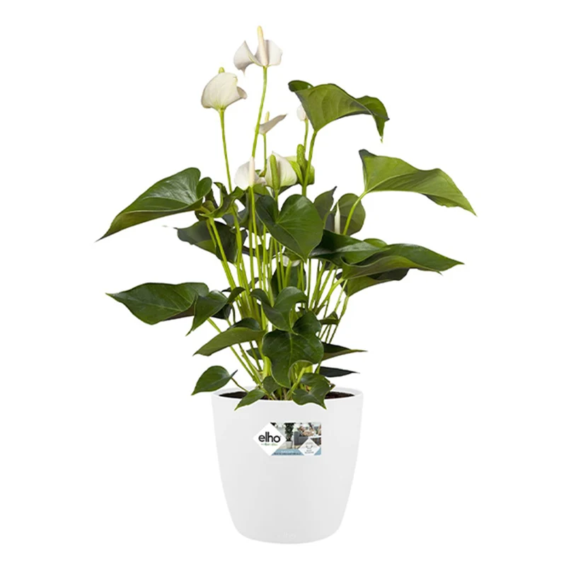Cache-pot Brussels Round blanc ELHO