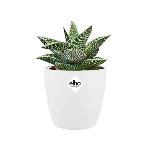 Cache-pot Brussels Round blanc ELHO
