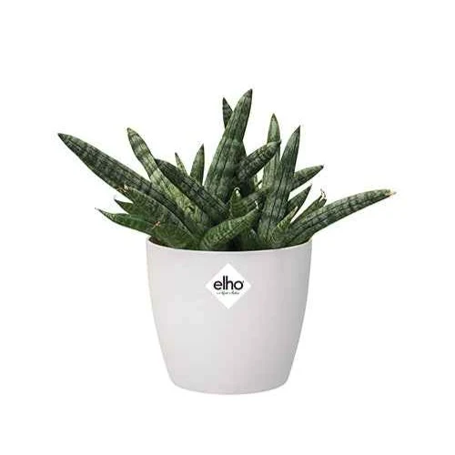 Cache-pot Brussels Round blanc ELHO