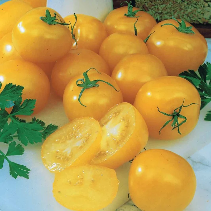 Tomate Cocktail Raisins jaunes