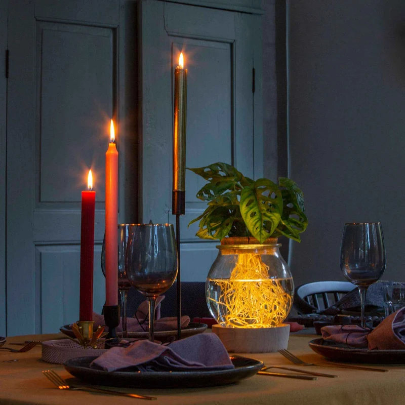 Monstera et son Ampoule vase avec LED