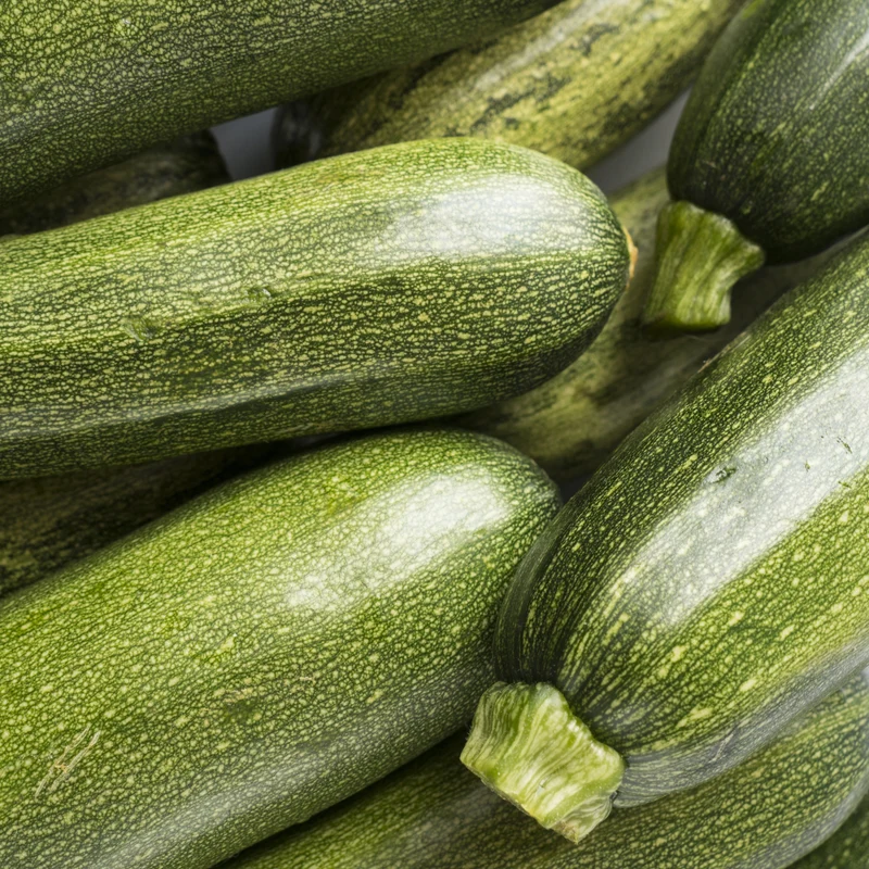 3 Plants de Courgette Tarmino F1