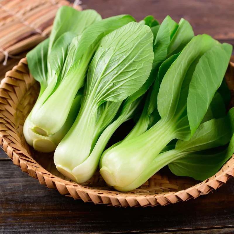 Chou de Chine Pak-choi Green Fortune F1