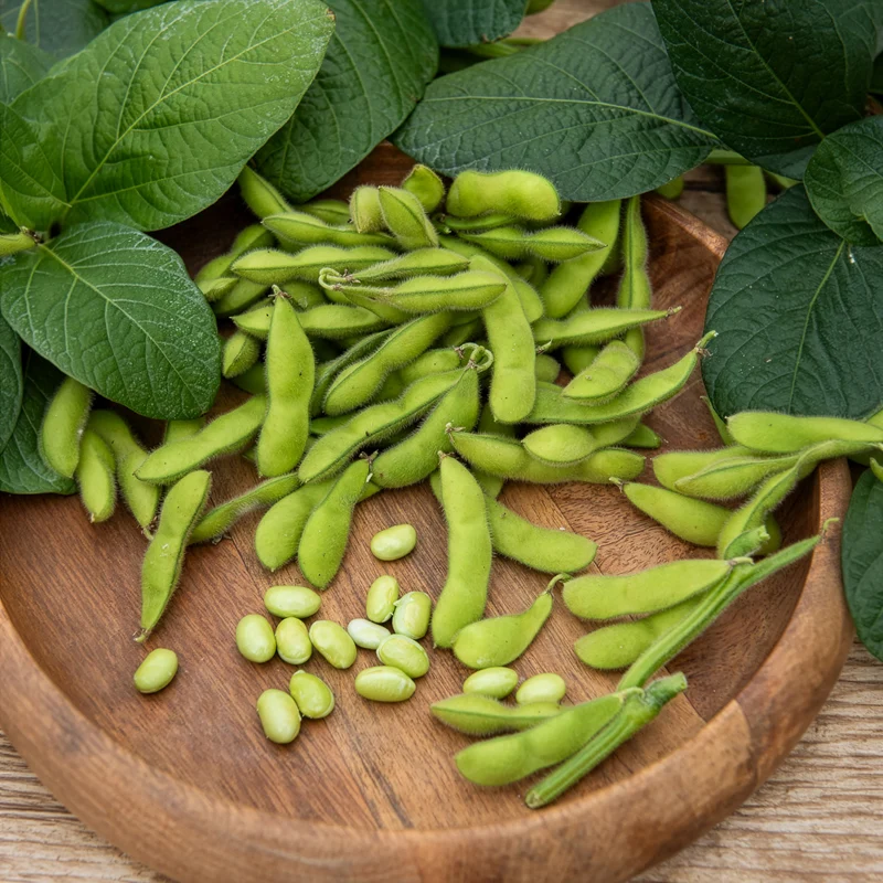 Soja Fiskeby V - Edamame