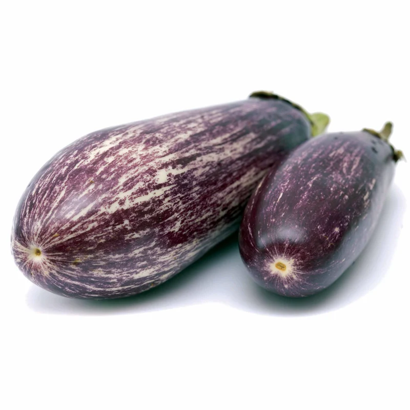 3 Plants d'Aubergine zébrée violette Rania