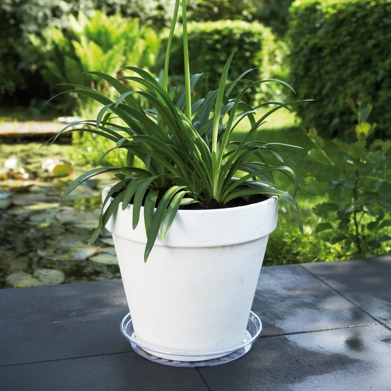 Soucoupe Uni-Saucer ELHO
