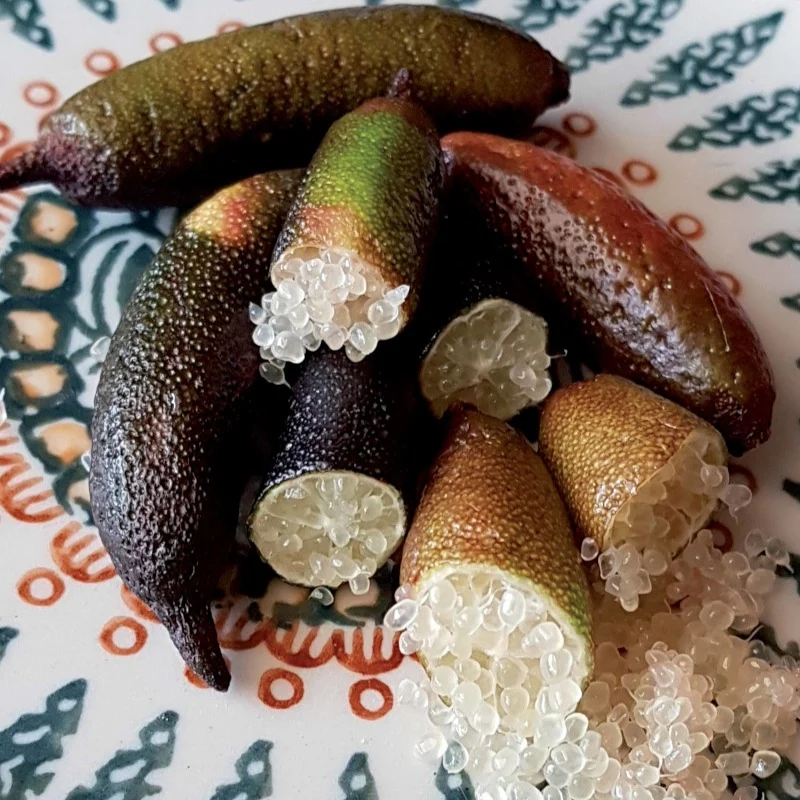 Citron caviar