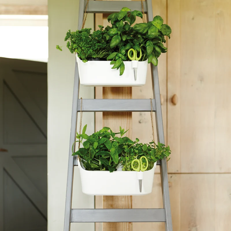 Cache-pot Brussels Herbs Station anthracite ELHO