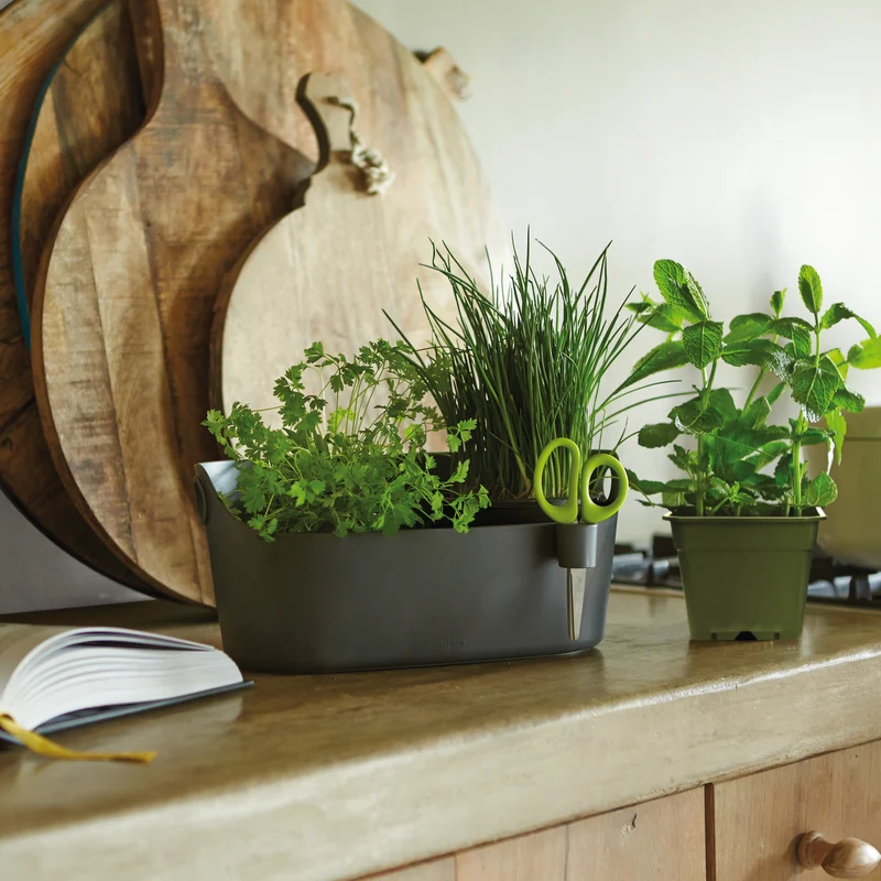 Cache-pot Brussels Herbs Station blanc ELHO