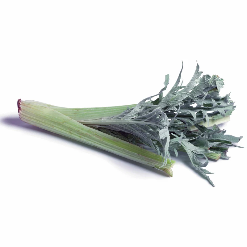 Cardon Vert Vaulx Velin