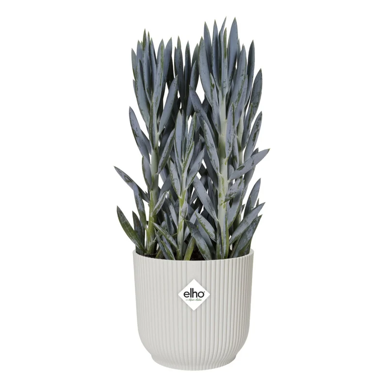 Cache-pot Vibes fold Blanc soie ELHO