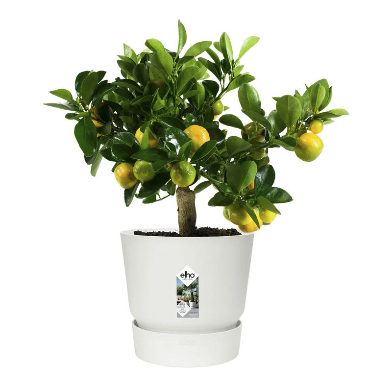 Pot de fleurs Greenville Blanc ELHO