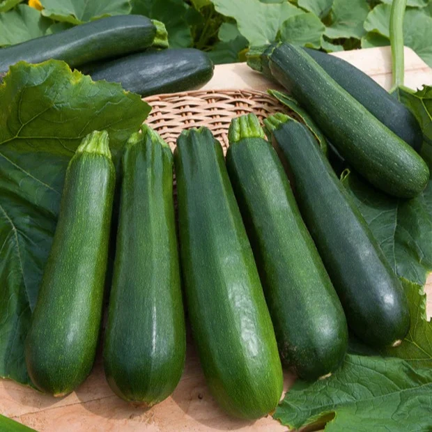 Collection de 7 sachets de graines pour potager