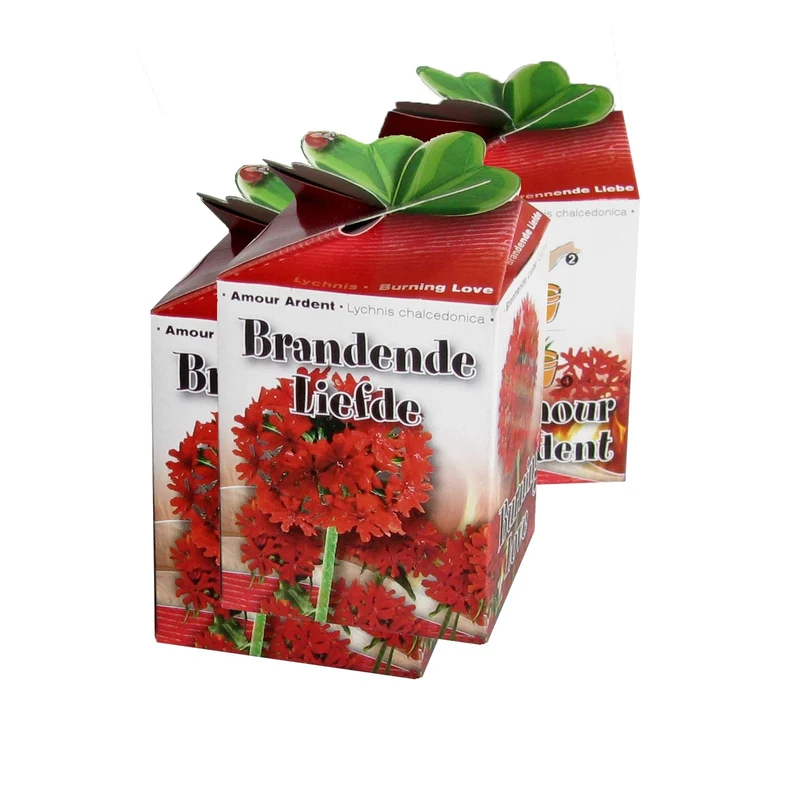 Kit Amour Ardent
