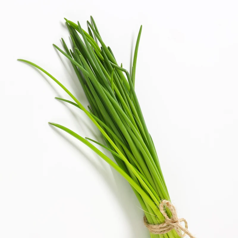 Plant de Ciboulette