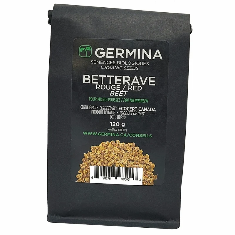 Betterave rouge à germer - Bio