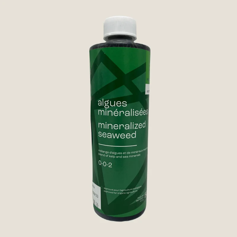 Algues minéralisées
