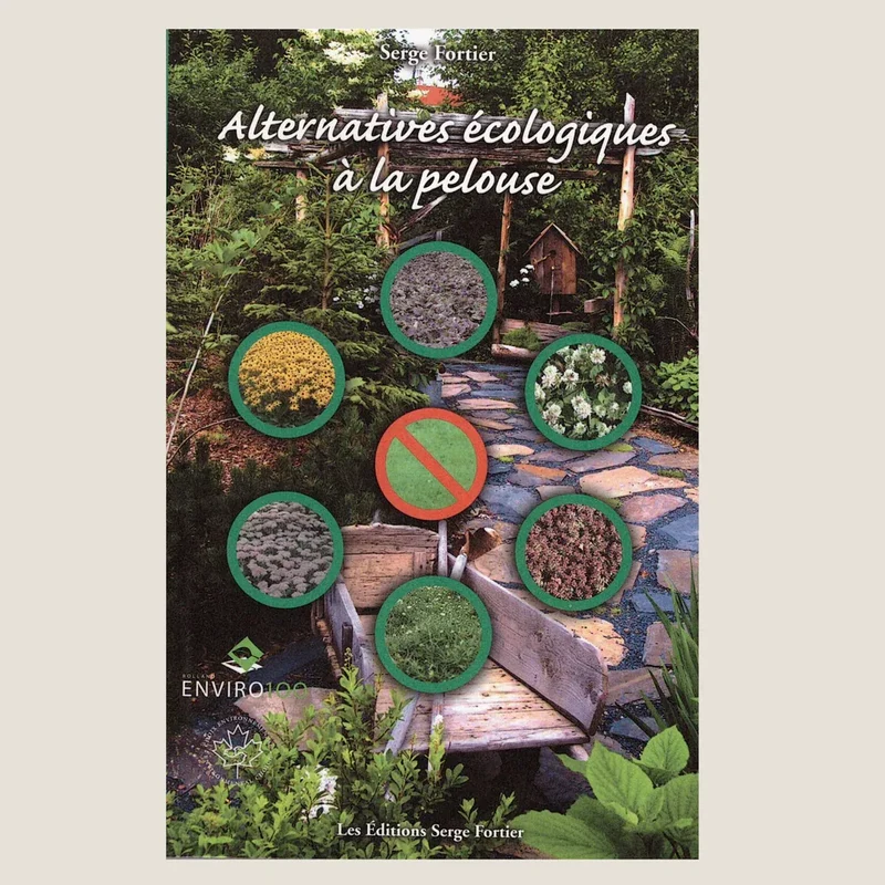 Alternatives écolo à la pelouse