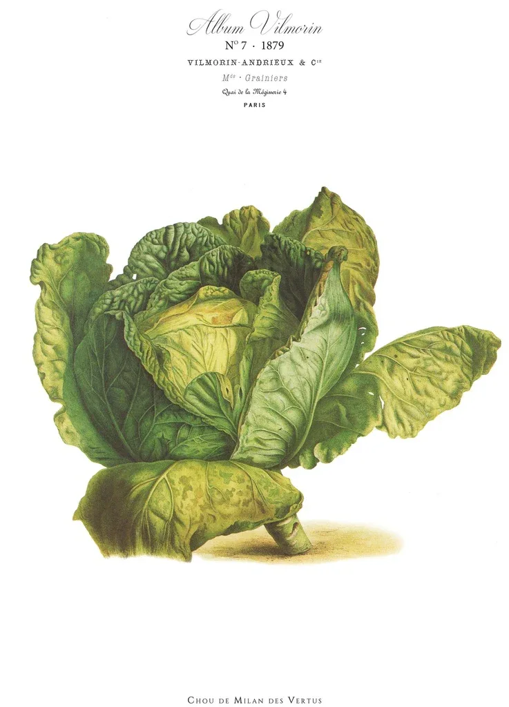 Affiche VilMorin No.7
