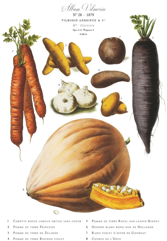 Affiche VilMorin No.28