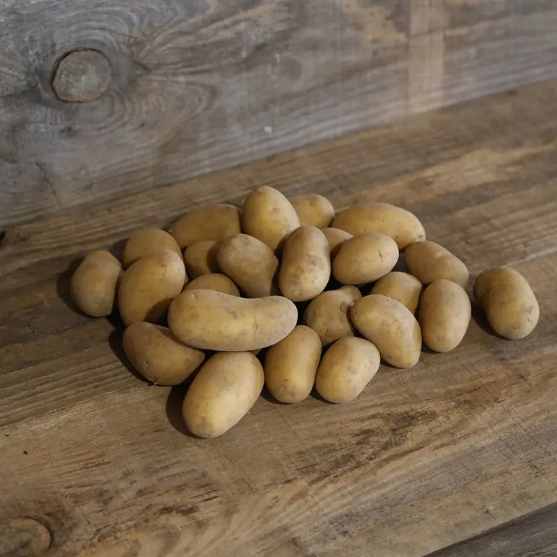 POMME DE TERRE CHÂTEAU NT