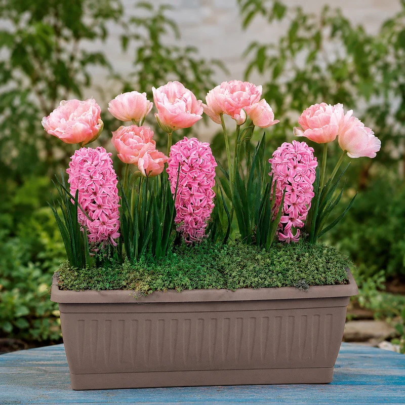 13 Bulbes à floraison printanière en mélange