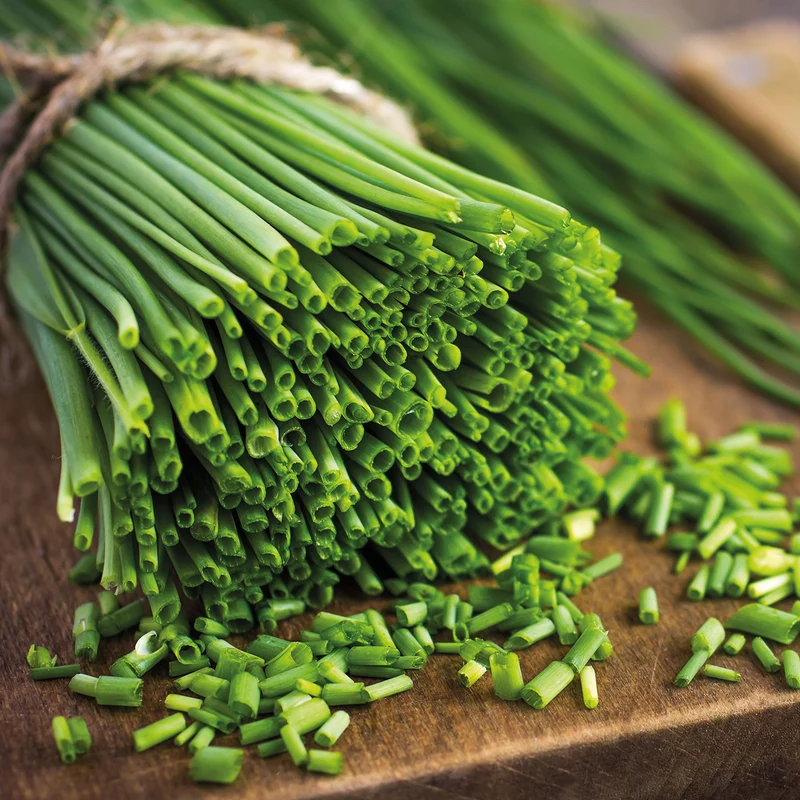 Collection de fines herbes : Persil, Basilic, Cerfeuil, Ciboulette