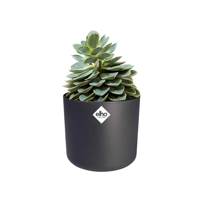 Elho Cache-pot B for soft rond anthracite