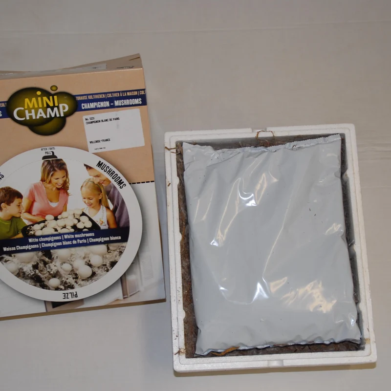 Kit champignon Blanc de Paris