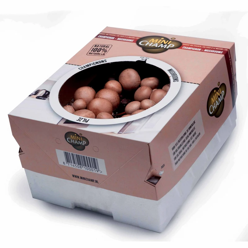 Kit champignon brun de Paris