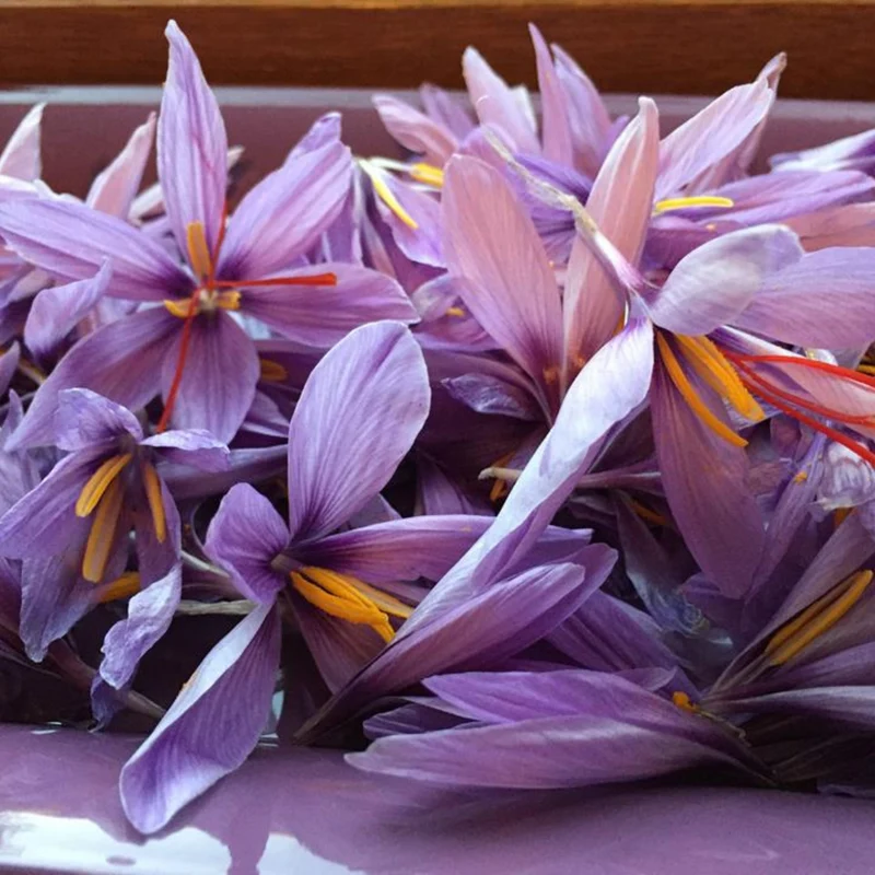 Cormes de Safran