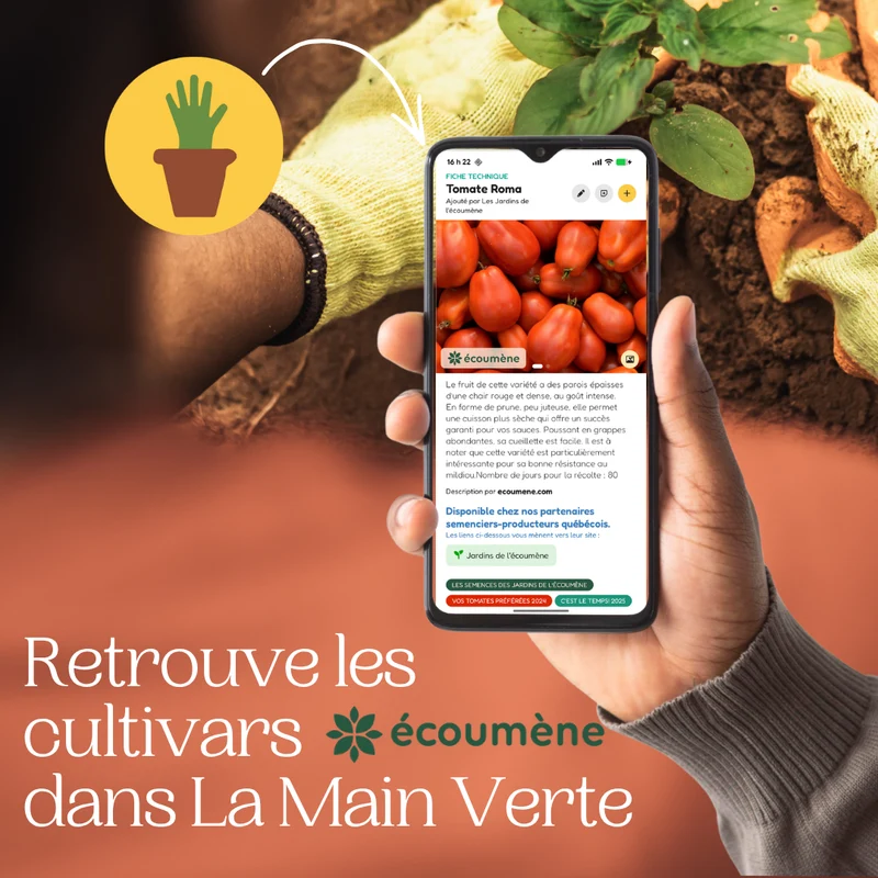 La Main Verte - L'application des potagers québécois