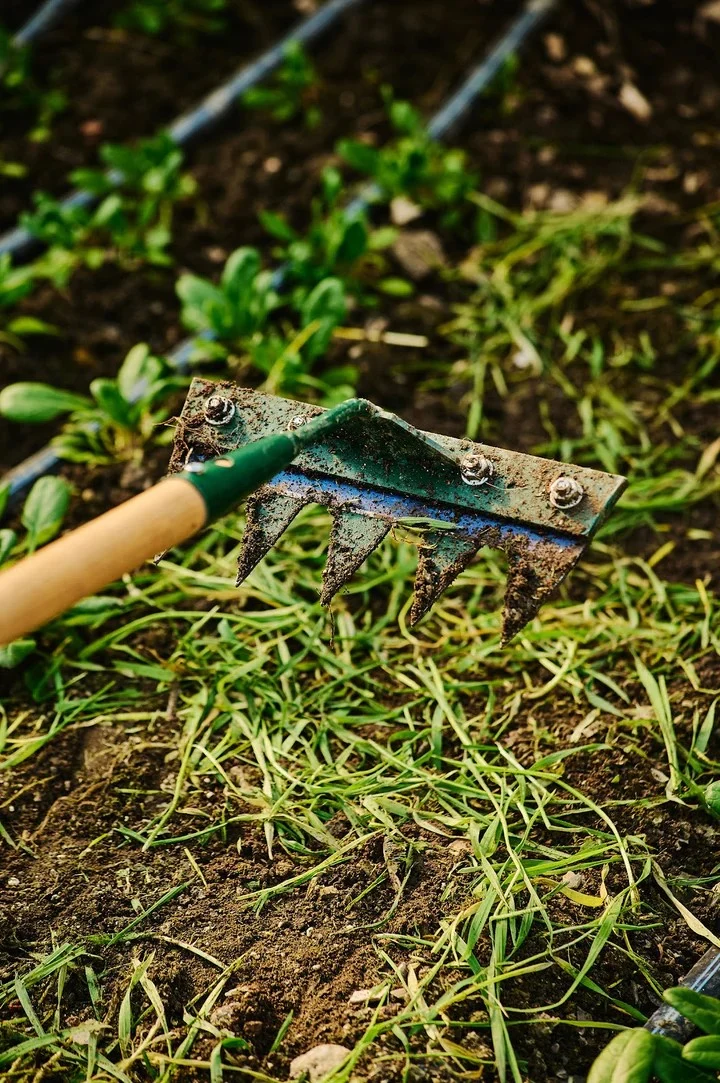 Houe déchiqueteuse de Growers & Co.