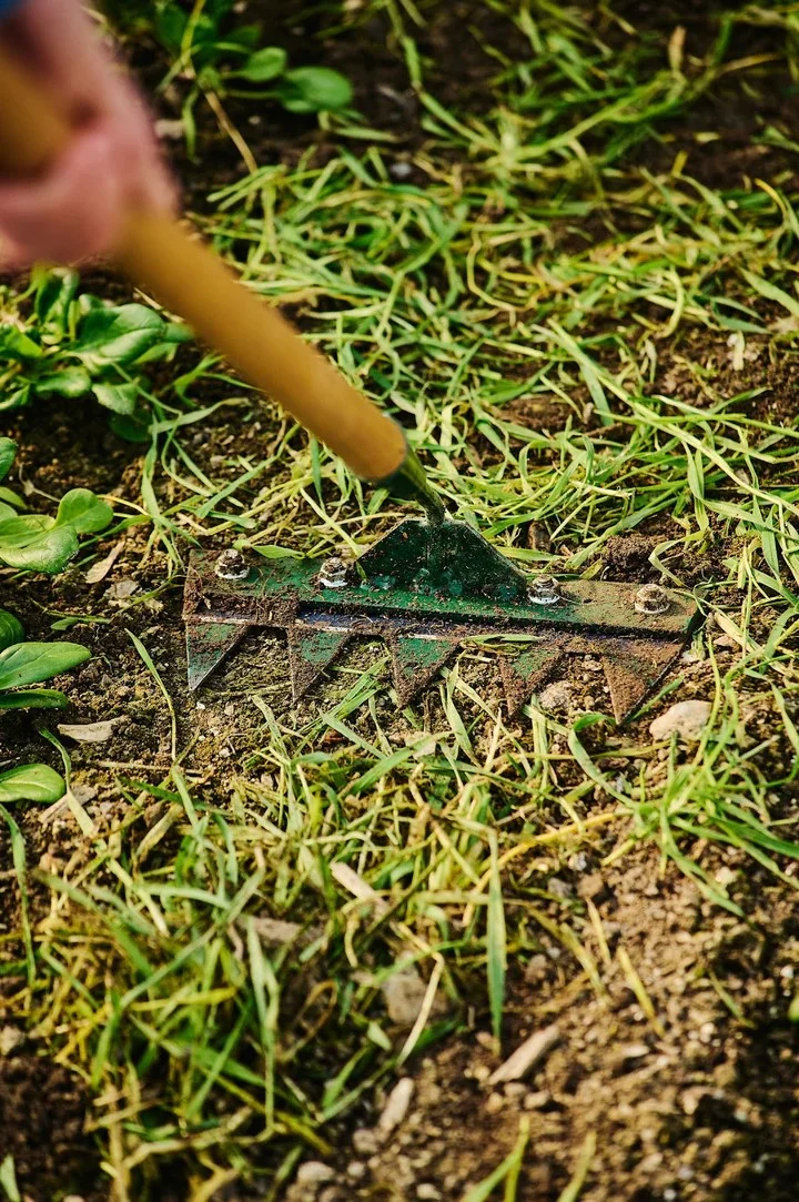 Houe déchiqueteuse de Growers & Co.