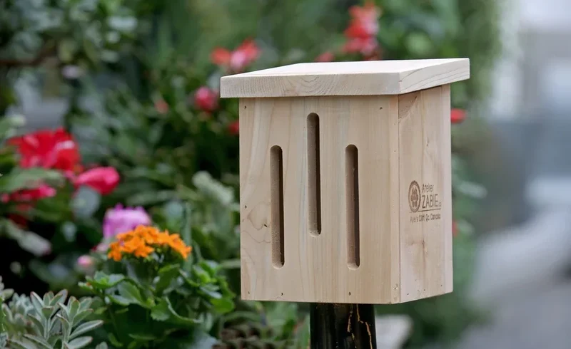 Abri à papillons d’Atelier Zabie