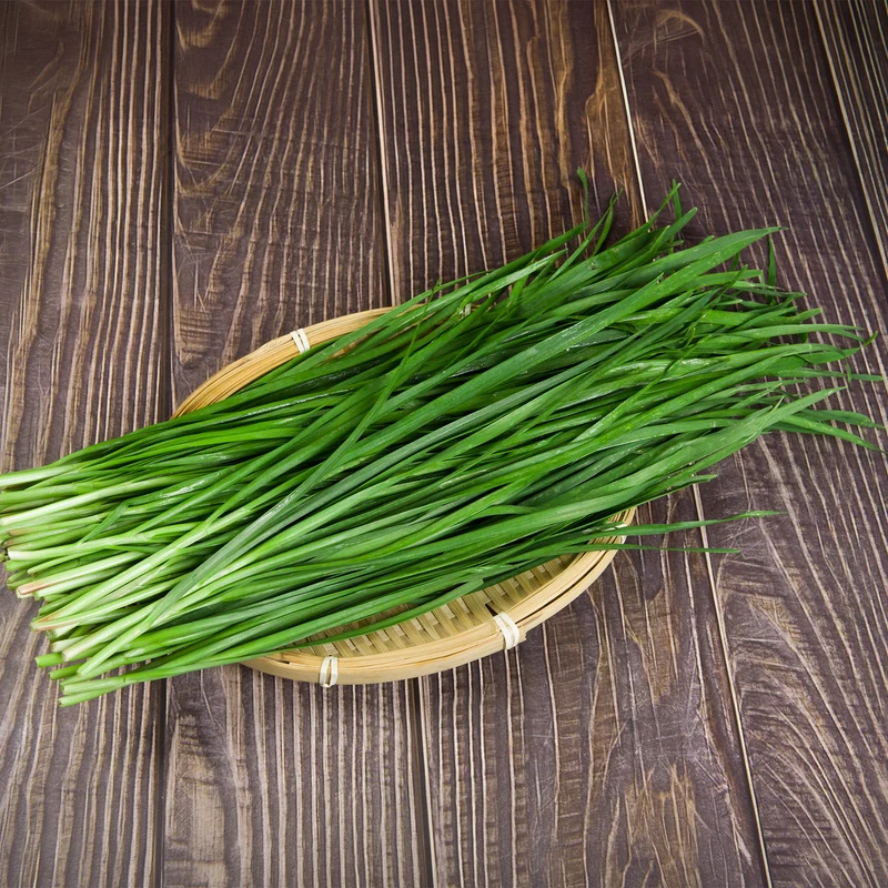 Ciboule de Chine - Ciboulette Ail Bio