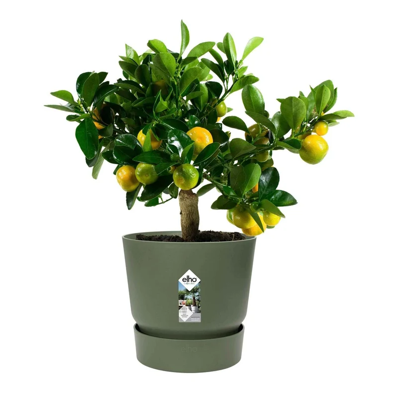 Pot de fleurs Greenville Leaf green ELHO