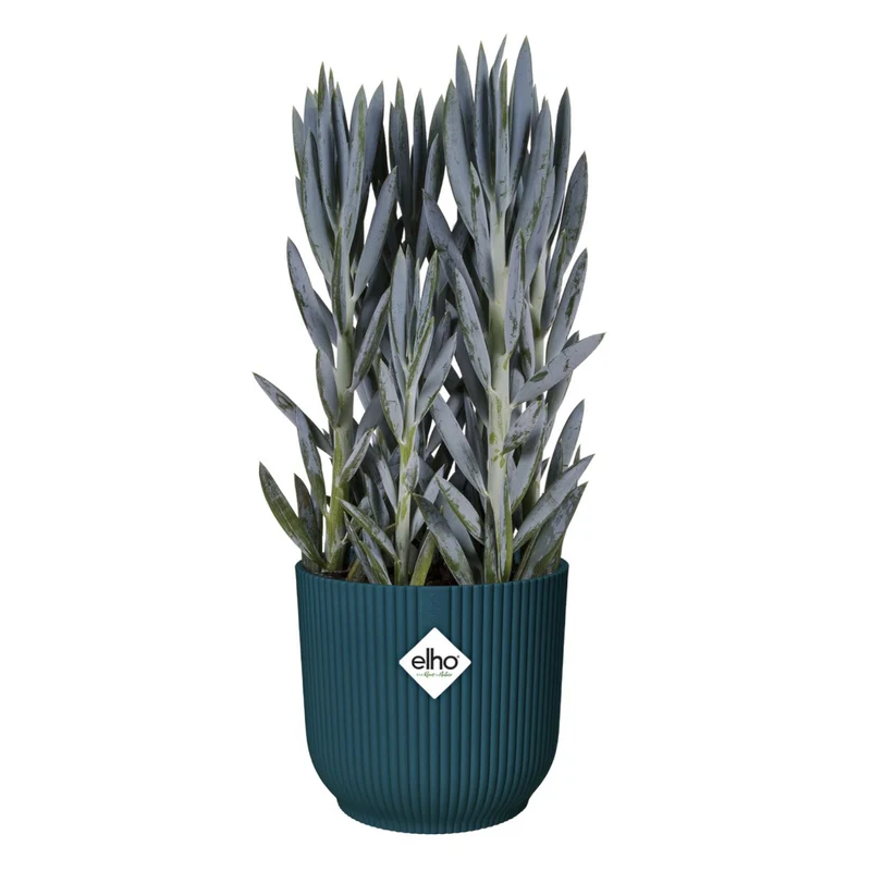Cache-pot Vibes fold Bleu foncé ELHO