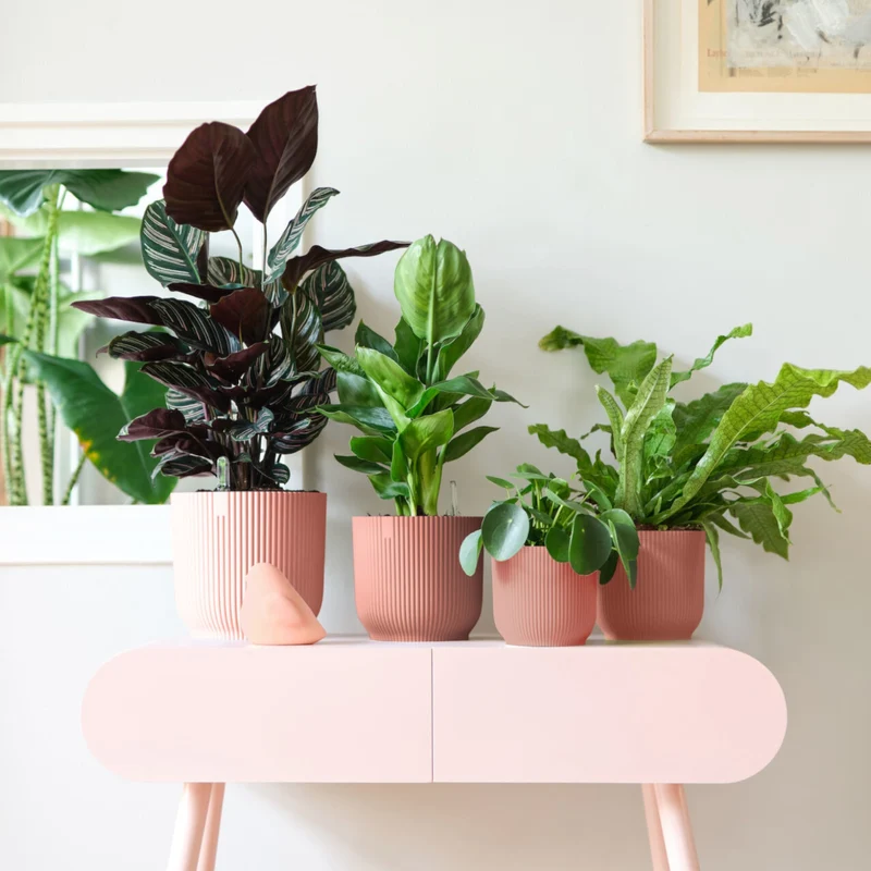 Cache-pot Vibes fold Rose poudré ELHO