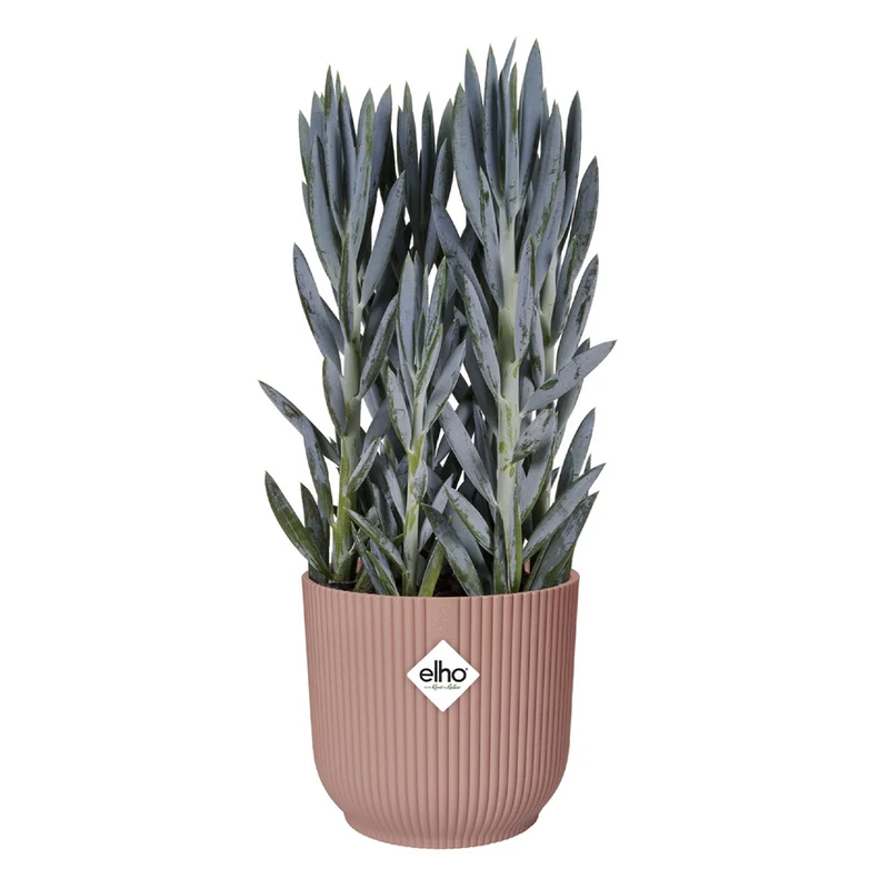 Cache-pot Vibes fold Rose poudré ELHO