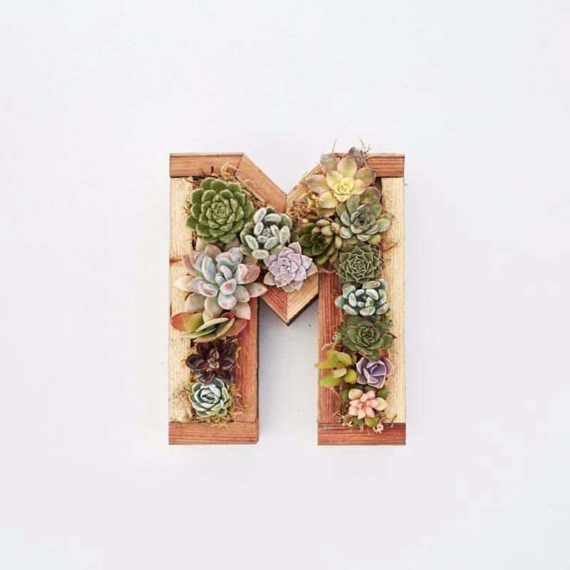 Letter Redwood Kit Small