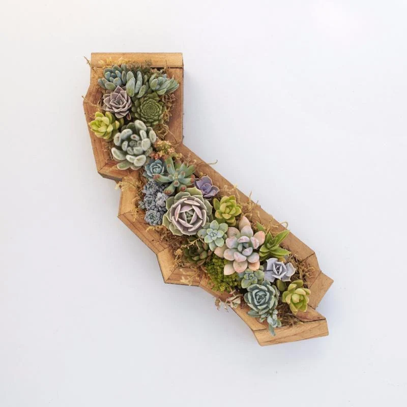 California Redwood Kit